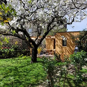 La Maisonnette Sous Le Cerisier Chalet